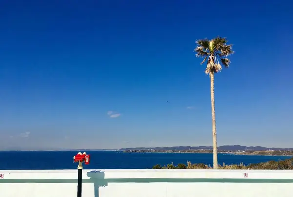 【閉業】京急油壺マリンパークの写真・動画_image_261766