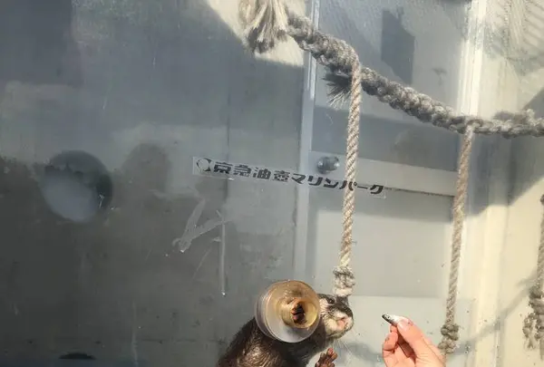 【閉業】京急油壺マリンパークの写真・動画_image_261925