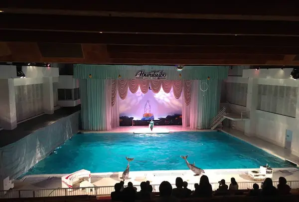 【閉業】京急油壺マリンパークの写真・動画_image_261926