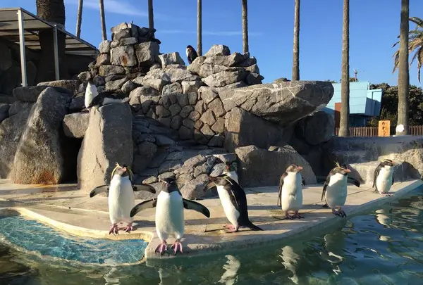 【閉業】京急油壺マリンパークの写真・動画_image_261930