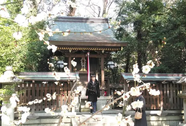 北野天満宮の写真・動画_image_261936