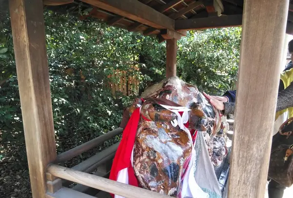 北野天満宮の写真・動画_image_261937