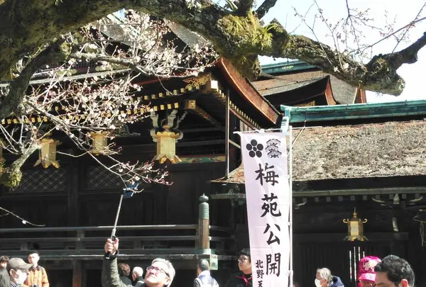 北野天満宮の写真・動画_image_261947