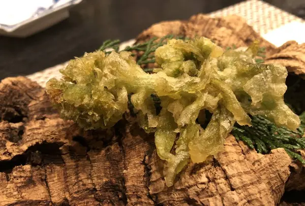 野々香の写真・動画_image_262035