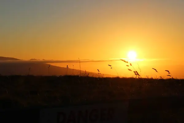 Mauna Kea（マウナ・ケア山）の写真・動画_image_262118