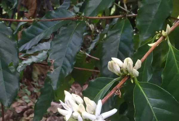 村松小農園の写真・動画_image_262183