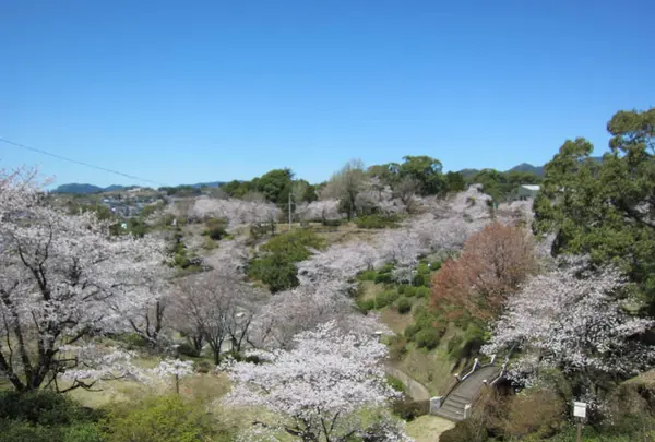 菊池公園の写真・動画_image_262214