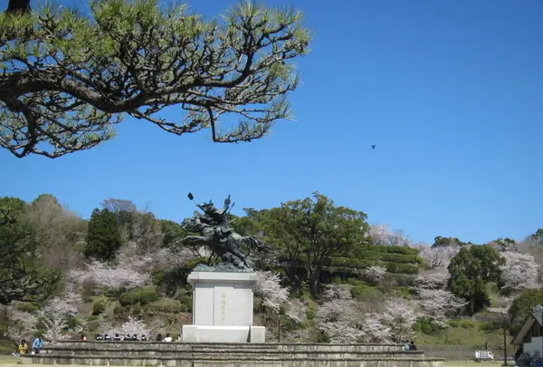菊池公園の写真・動画_image_262215
