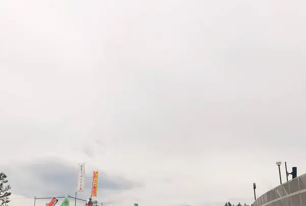 相模原ギオンスタジアム（相模原麻溝公園競技場）の写真・動画_image_262251