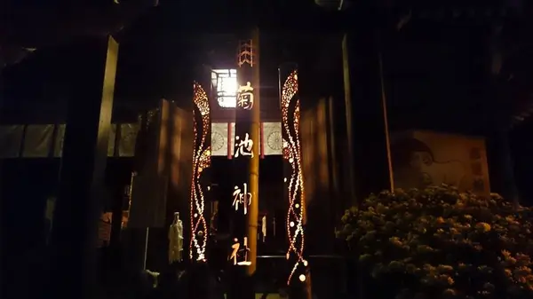 ほの宵まつりの写真・動画_image_262256