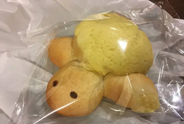 神戸市立須磨海浜水族園の写真・動画_image_262334