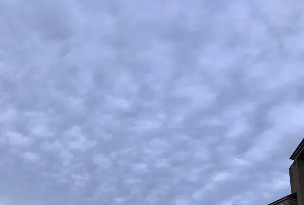 都リゾート 奥志摩 アクアフォレストの写真・動画_image_262349