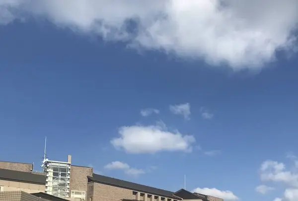 都リゾート 奥志摩 アクアフォレストの写真・動画_image_262353