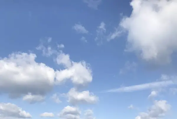 都リゾート 奥志摩 アクアフォレストの写真・動画_image_262354