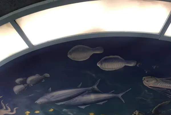 鳥羽マリンターミナルの写真・動画_image_262362