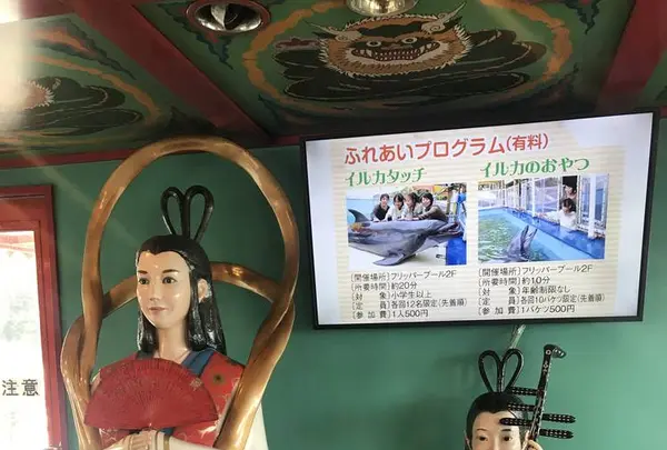 鳥羽マリンターミナルの写真・動画_image_262364