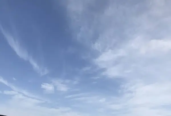 鳥羽マルシェの写真・動画_image_262369