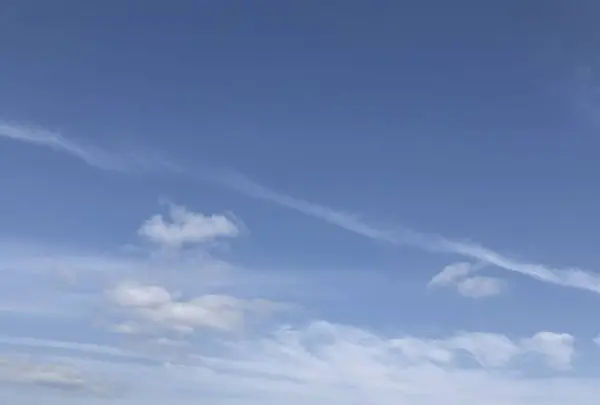 鳥羽マルシェの写真・動画_image_262370