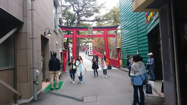 富士スバルライン五合目の写真・動画_image_262439