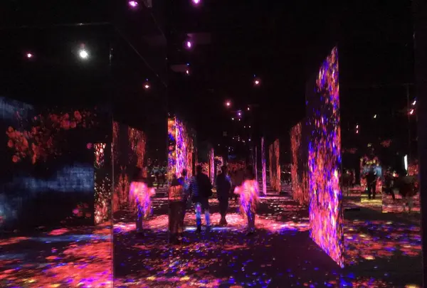 【閉業】森ビルデジタルアートミュージアム：エプソン チームラボボーダレス（MORI Building Digital Art Museum: EPSON teamLab Borderless）の写真・動画_image_262527