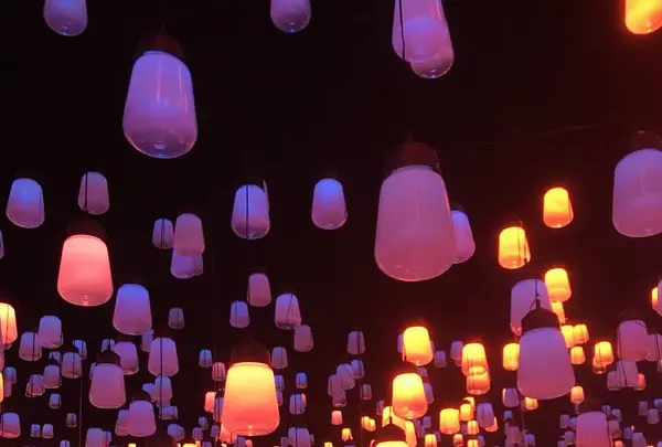 【閉業】森ビルデジタルアートミュージアム：エプソン チームラボボーダレス（MORI Building Digital Art Museum: EPSON teamLab Borderless）の写真・動画_image_262528