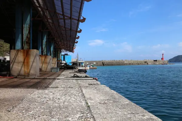 漁港めしの写真・動画_image_262717