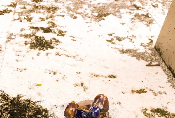 壺屋やちむん通りの写真・動画_image_262868