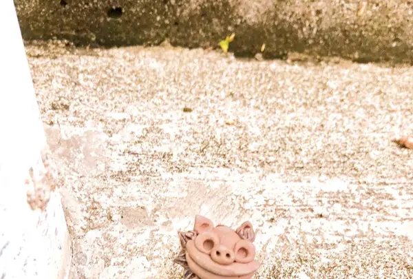 壺屋やちむん通りの写真・動画_image_262869