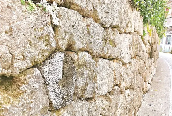 壺屋やちむん通りの写真・動画_image_262873