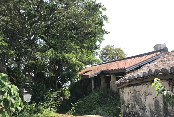 南窯の写真・動画_image_262910