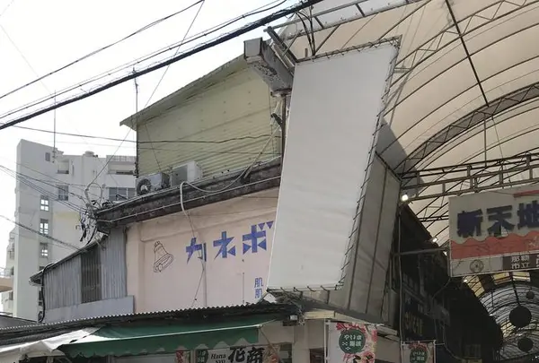 花商の写真・動画_image_262933