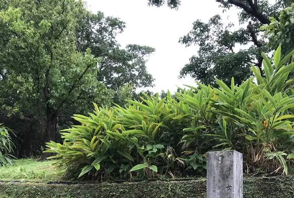 玉陵の写真・動画_image_262944