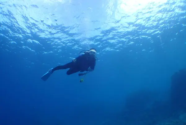 慶良間諸島周辺の写真・動画_image_262960