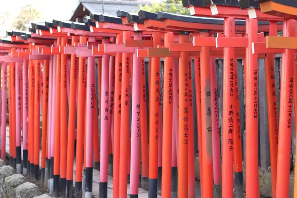 根津神社の写真・動画_image_263022