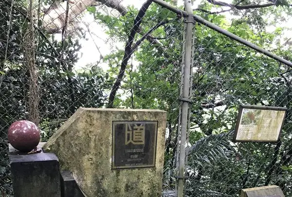 金城町石畳道の写真・動画_image_263143
