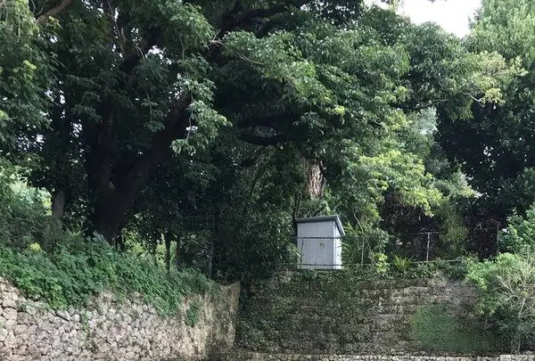 金城町石畳道の写真・動画_image_263145
