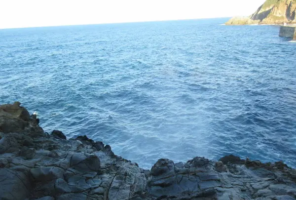 龍宮の潮吹の写真・動画_image_263167