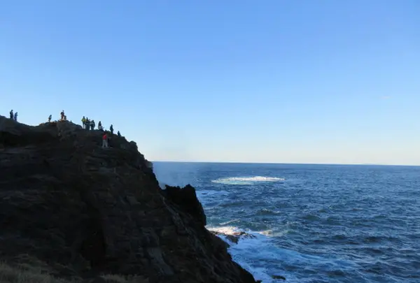 龍宮の潮吹の写真・動画_image_263169