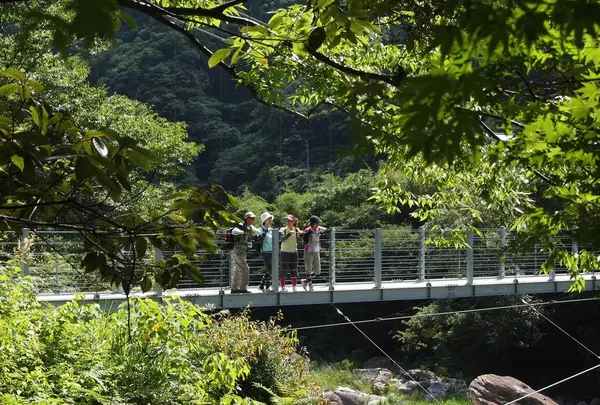 石垣の村 戸川地区の写真・動画_image_263279