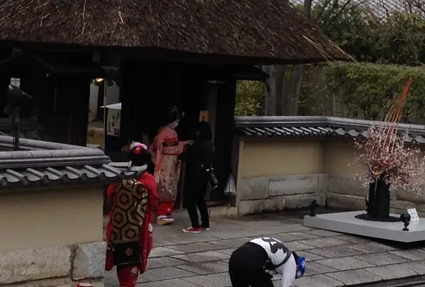 高台寺の写真・動画_image_26338
