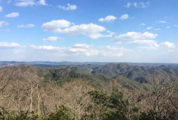 星居山森林公園の写真・動画_image_26362