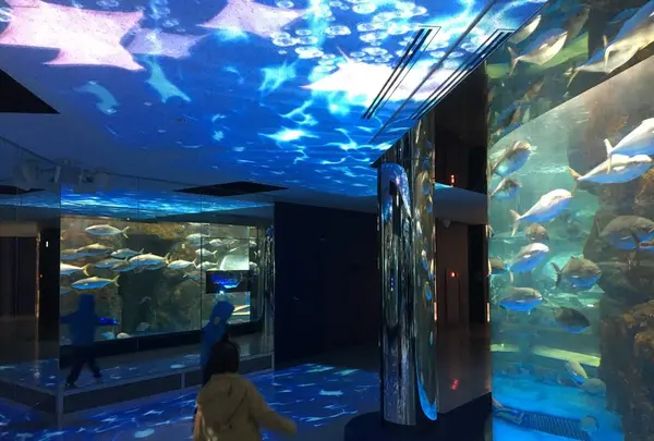 のとじま水族館　の写真・動画_image_263666