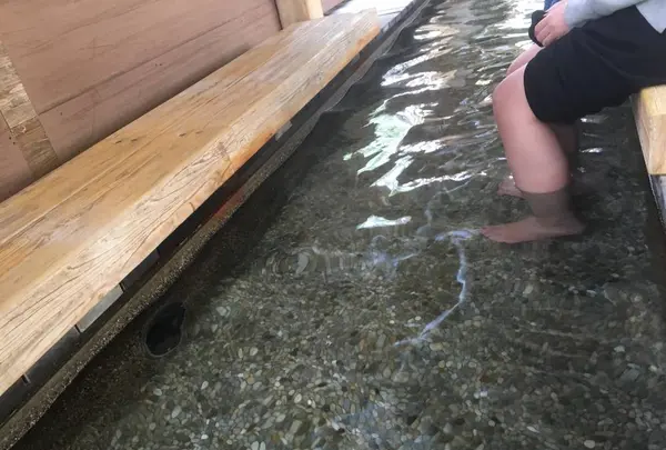 湯っ足りパークの写真・動画_image_263670
