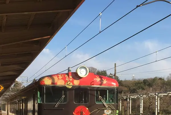 花嫁のれんの写真・動画_image_263681