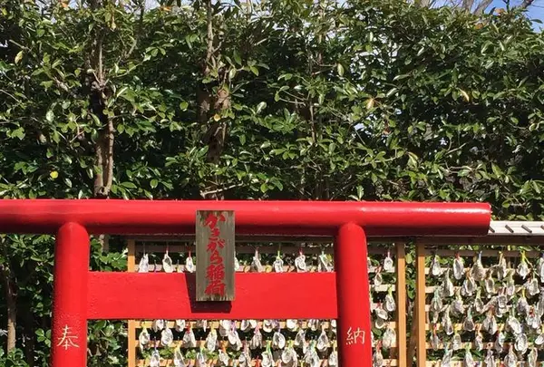 長谷寺の写真・動画_image_264128