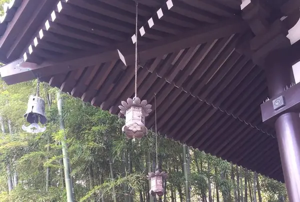 長谷寺の写真・動画_image_264129