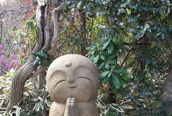 長谷寺の写真・動画_image_264131