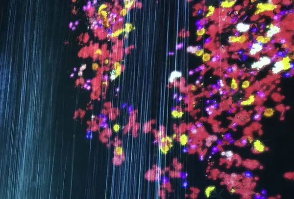 【閉業】森ビルデジタルアートミュージアム：エプソン チームラボボーダレス（MORI Building Digital Art Museum: EPSON teamLab Borderless）の写真・動画_image_264174