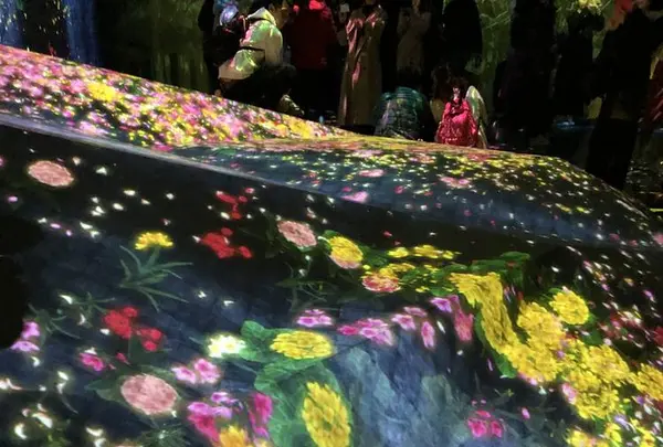 【閉業】森ビルデジタルアートミュージアム：エプソン チームラボボーダレス（MORI Building Digital Art Museum: EPSON teamLab Borderless）の写真・動画_image_264175
