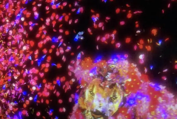 【閉業】森ビルデジタルアートミュージアム：エプソン チームラボボーダレス（MORI Building Digital Art Museum: EPSON teamLab Borderless）の写真・動画_image_264176